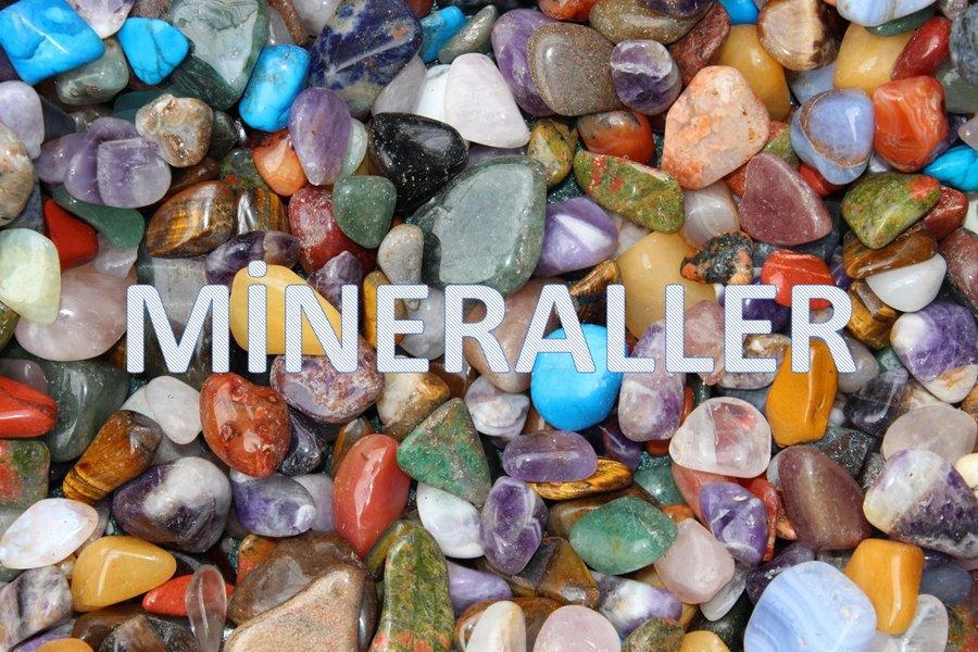 MİNERALLERİN BİLİNCİ VAR MI ?